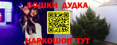 спиды Рыбинск