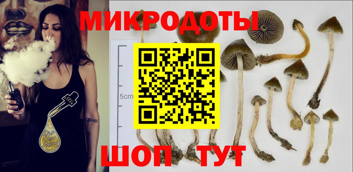 Галлюциногенные грибы прущие грибы  Вход с VPN  Саянск  Галлюциногенные грибы MAGIC MUSHROOMS 